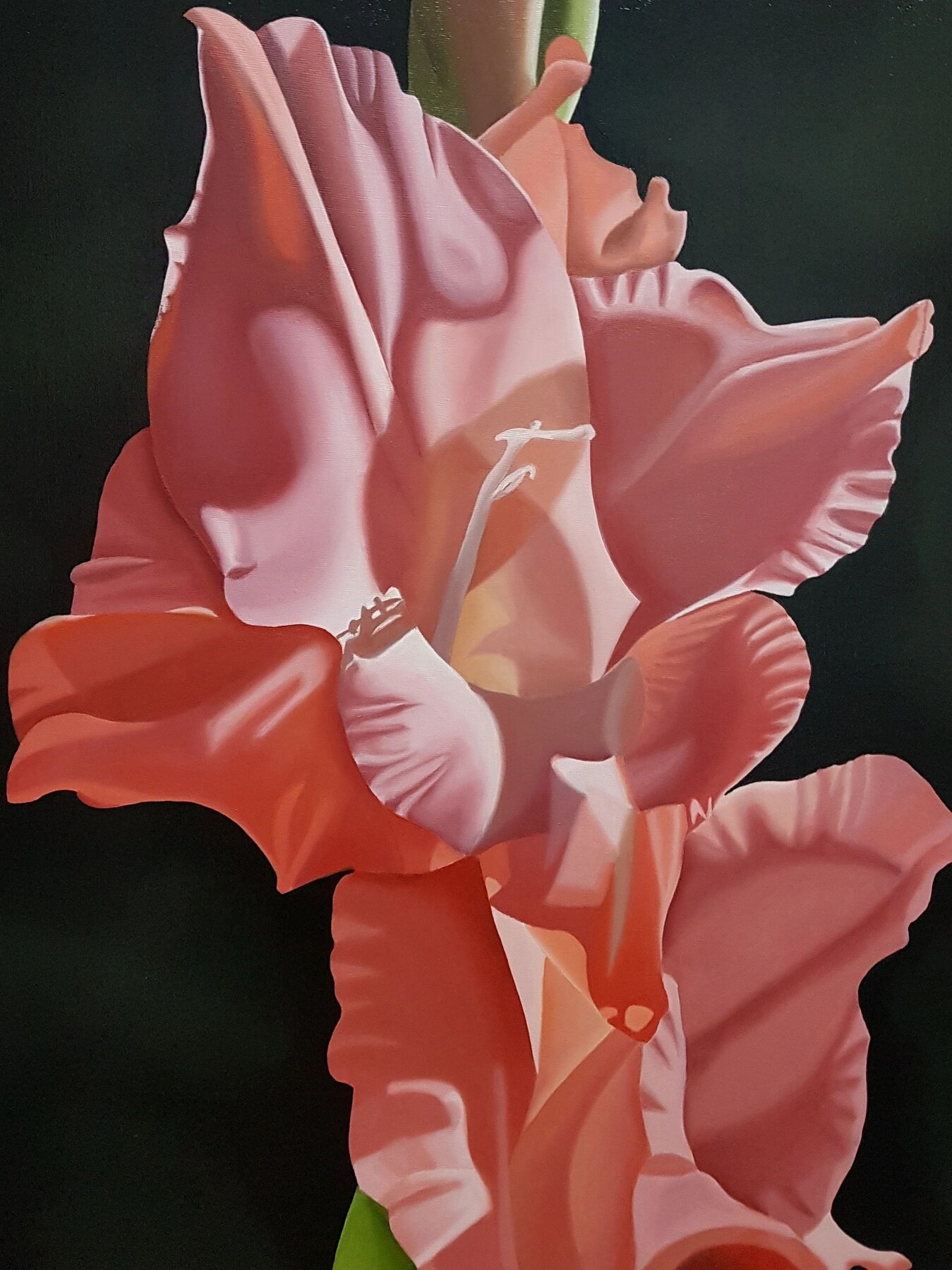 Flame by Steve Foster